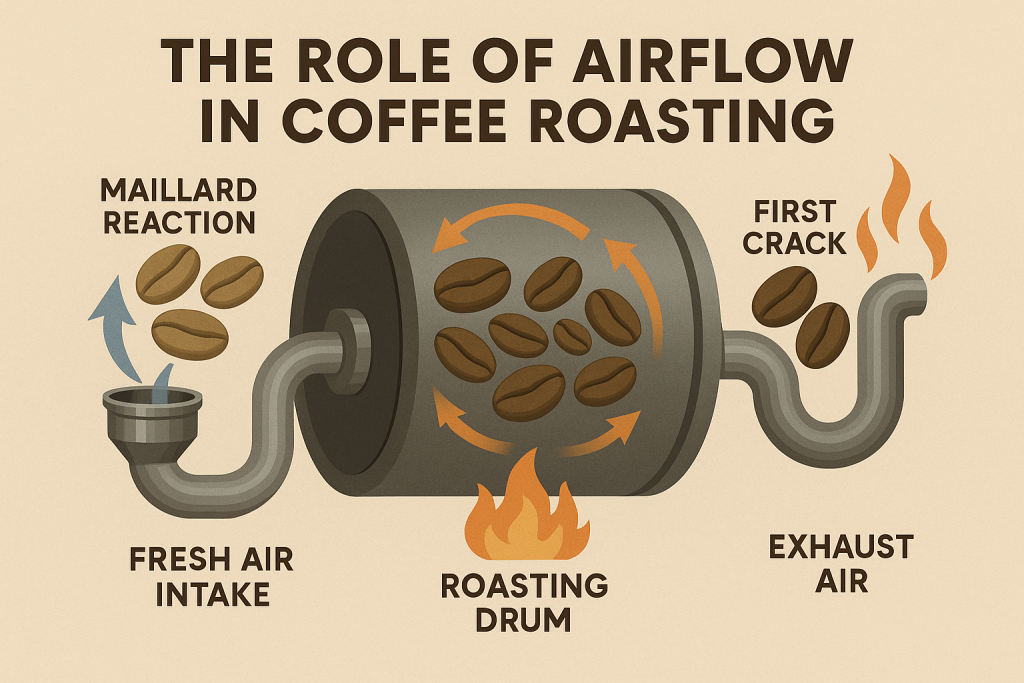 Mastering The Invisible Hand The Critical Role Of Airflow In Coffee Mastering The Invisible Hand The Critical Role Of Airflow In Coffee