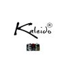 Kaleido Power Supply Board