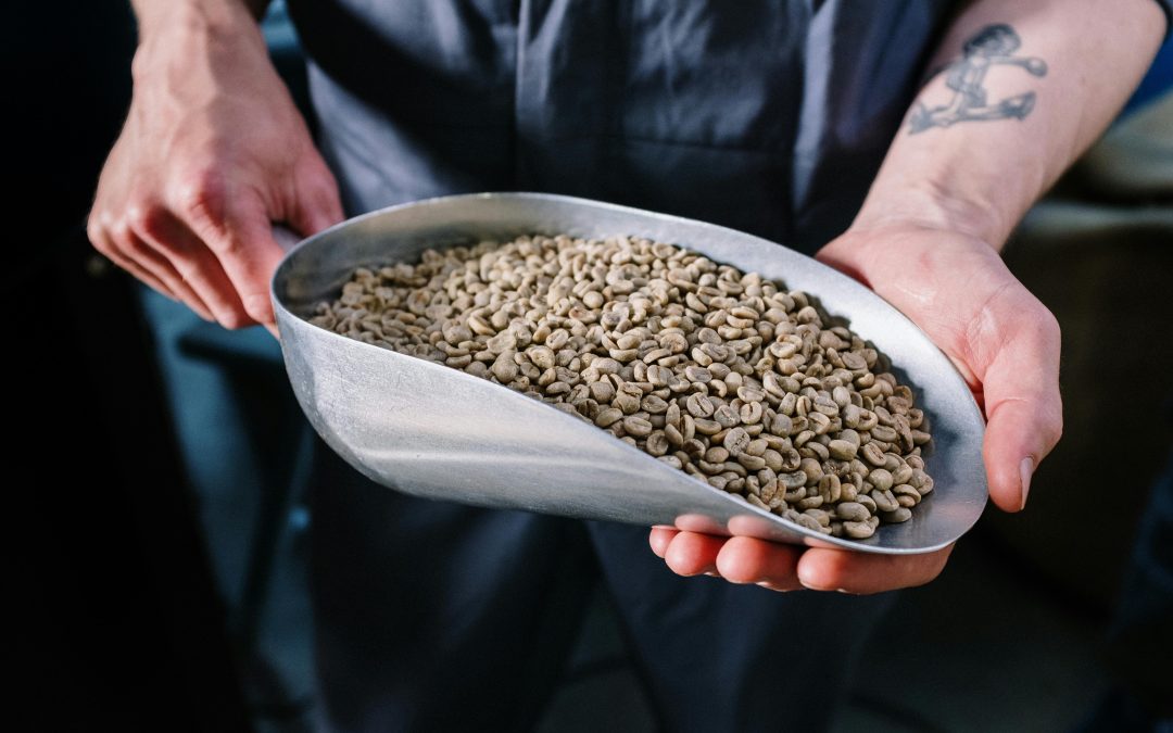 The True Cost of Coffee: A Transparent Breakdown for Canadian Roasters